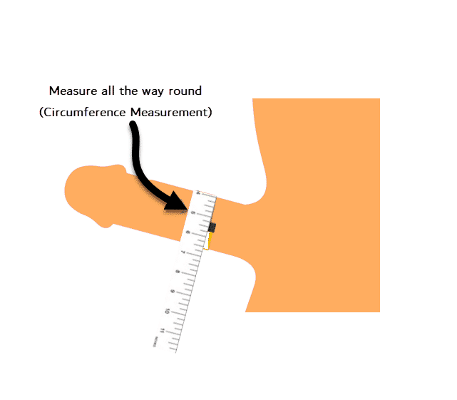 The correct way to measure your penis